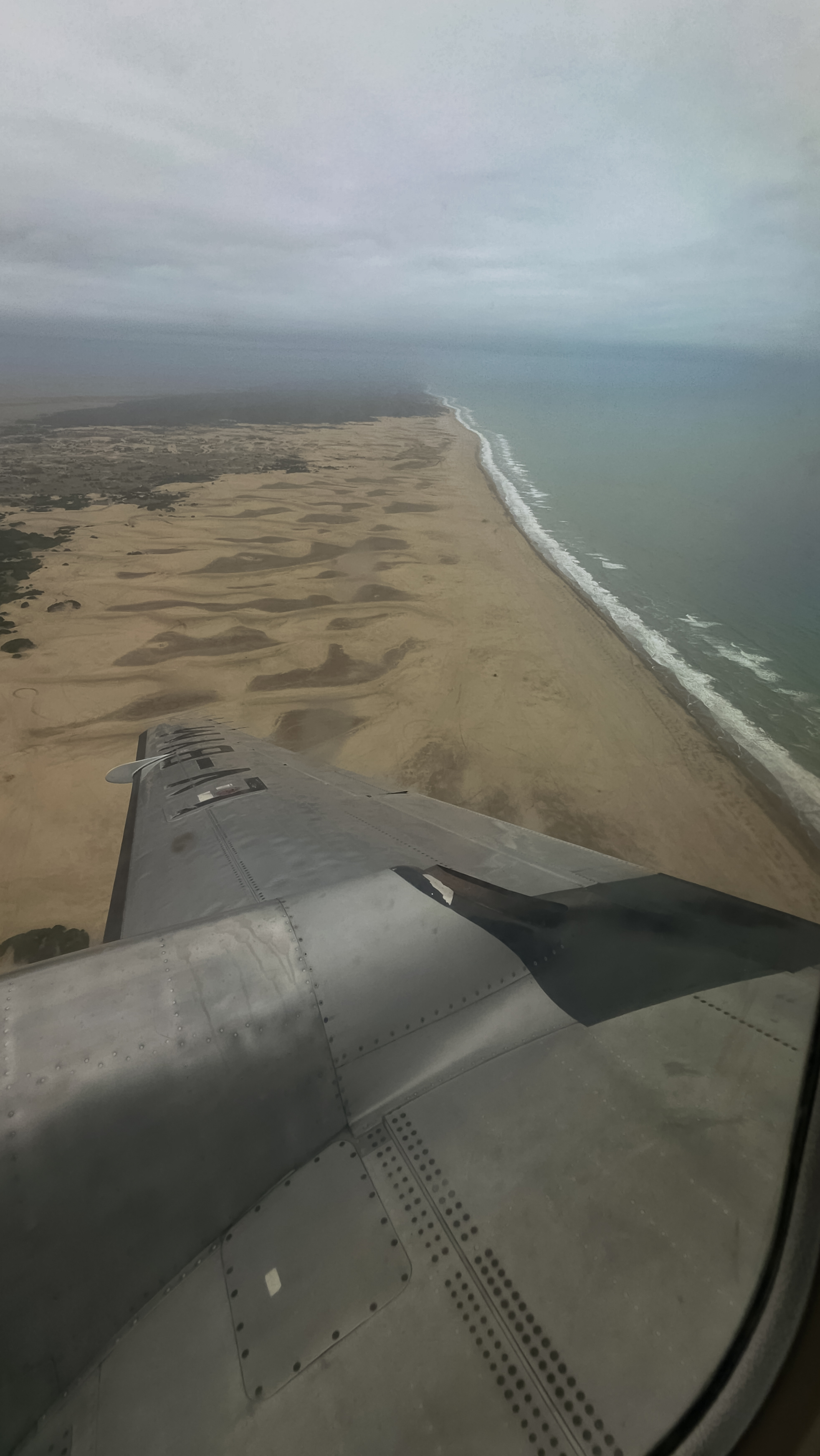 Humming Airways en Villa Gesell